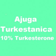 Ajuga Turkestanica - 10% Turkesterone - 100 Capsules a 430mg