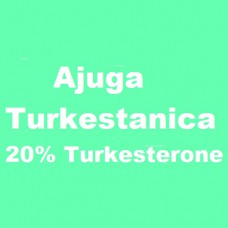 Ajuga Turkestanica - 20% Turkesterone - 100 Capsules a 400/480mg
