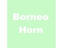 Horn
