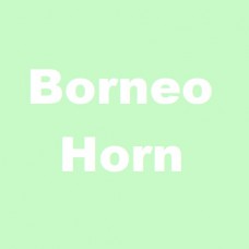 Borneo Horn met groene, witte, rode of gouden nerf  - Per 100 Gram