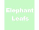 Elephant leafs
