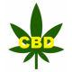 CBD Capsules